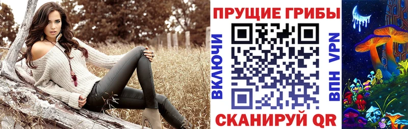 Псилоцибиновые грибы GOLDEN TEACHER  Ливны 